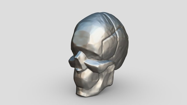 SKULL SIMPLEST_Zbrush 3D Model