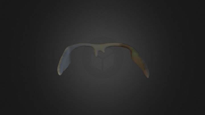Skanect glasses 2 3D Model