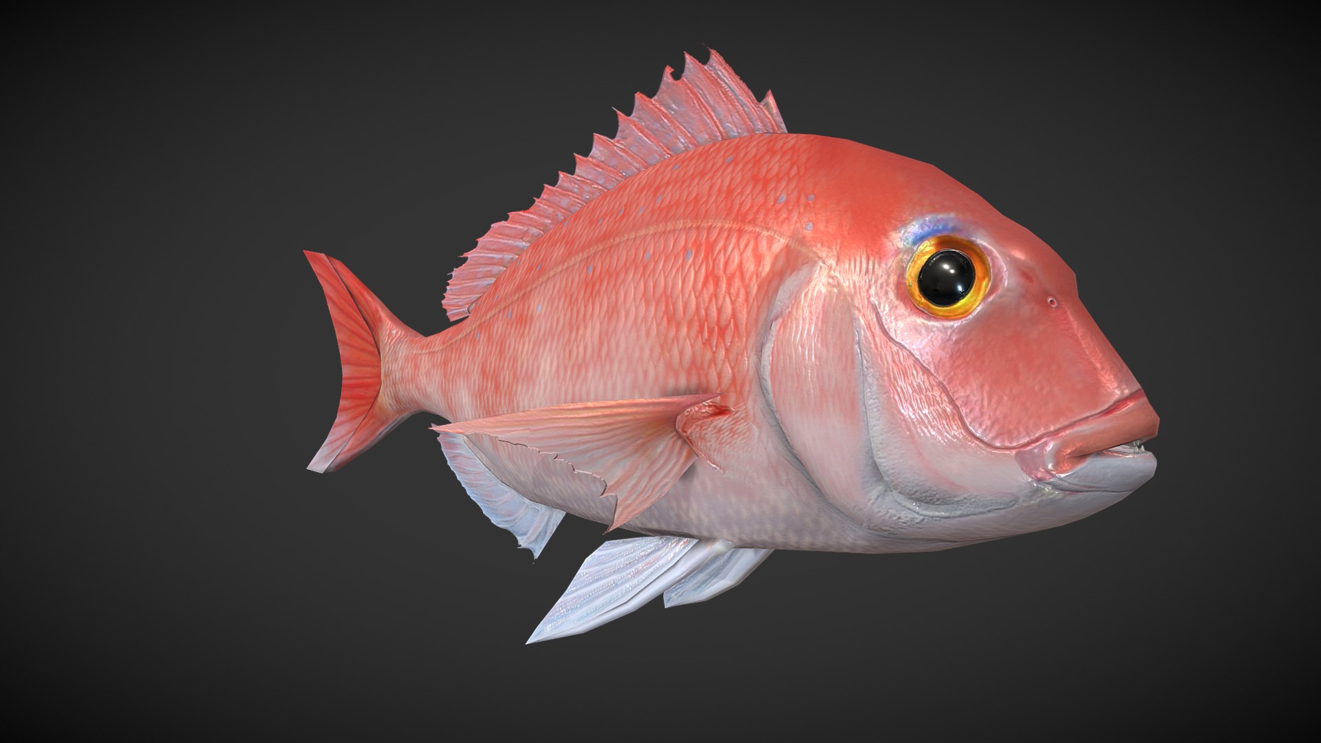3D model Carp - This is a 3D model of the Carp. The 3D model is about a close-up of a fish.