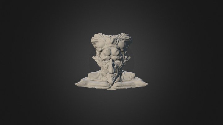 Demo Head 1 3D Model