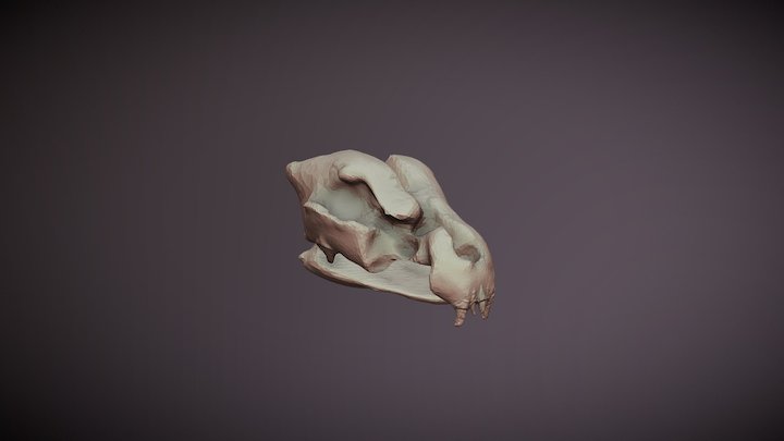 Hyde 3D Model