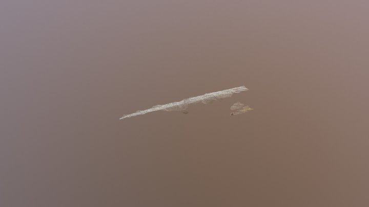 TEST Dsm 100cm 3D Model