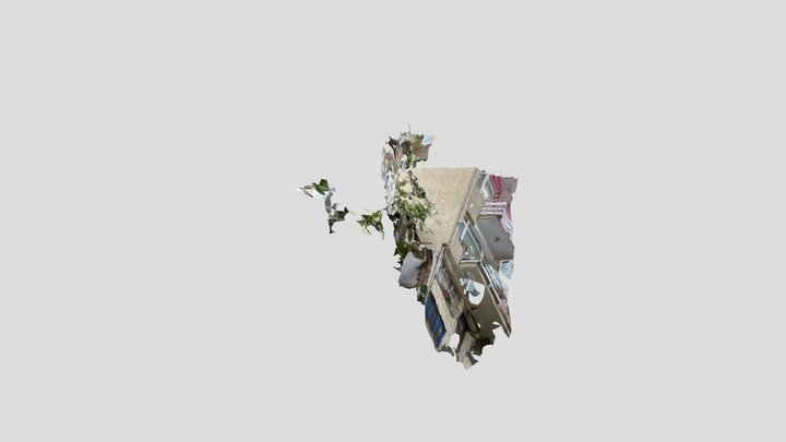 Benim fotogerçekçi Fotoğraflardan 3D model 3D Model