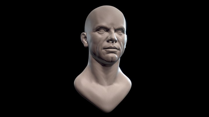 Male Sculpt Practice. 3D Model