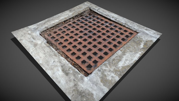 Grille cover for the canal 3D Model