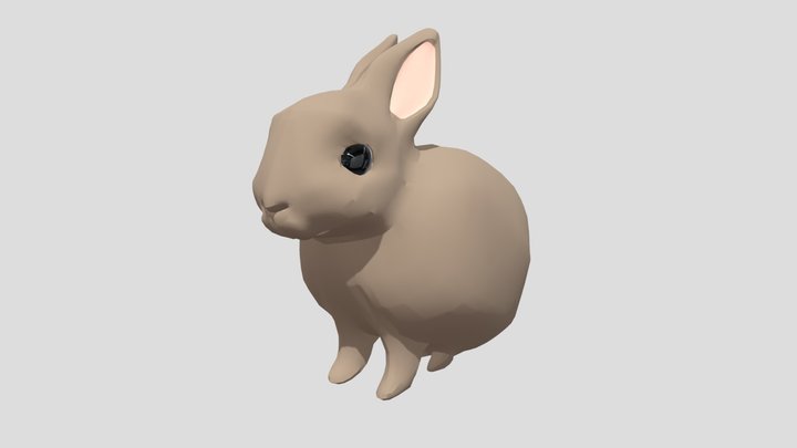 Rabbit