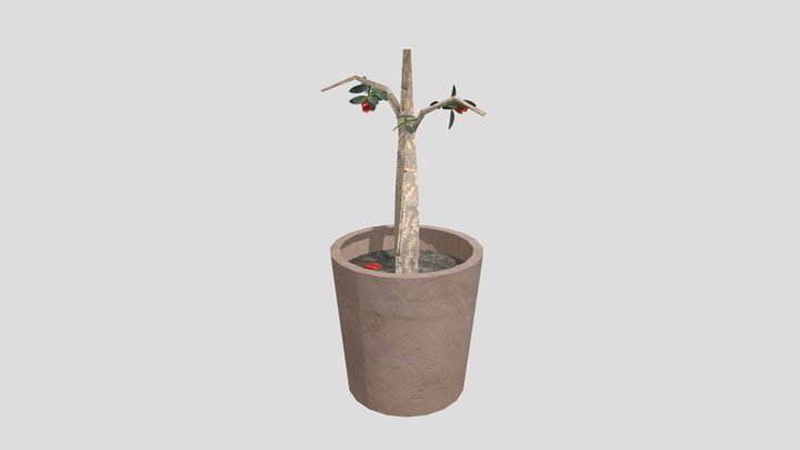 plant with pot 3D Model