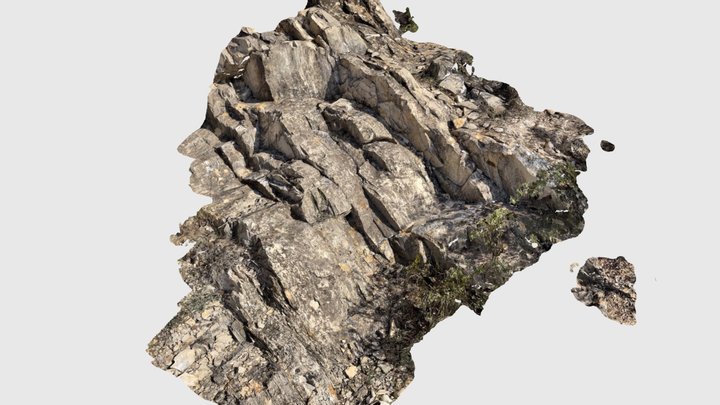 Affleurement près de Les ruches près de la D77 3D Model