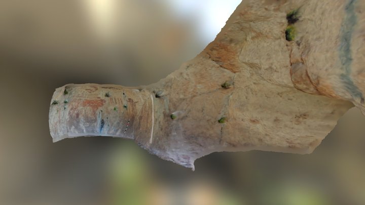 Curly Tail Panther Rock Art Site 3D Model