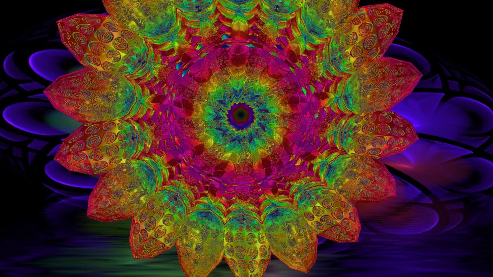 Lotusanimation XL