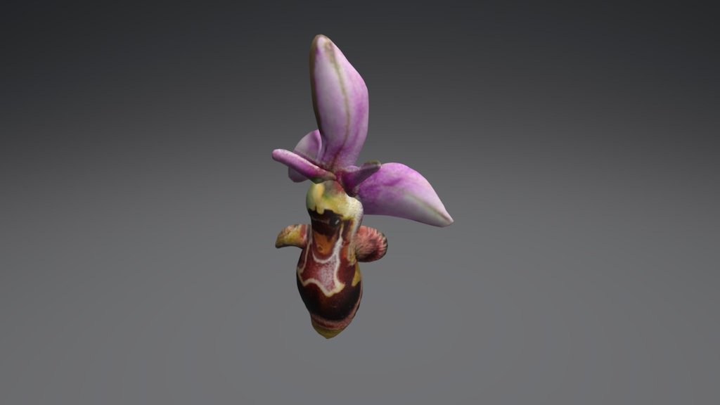 Smoothie-3D upload