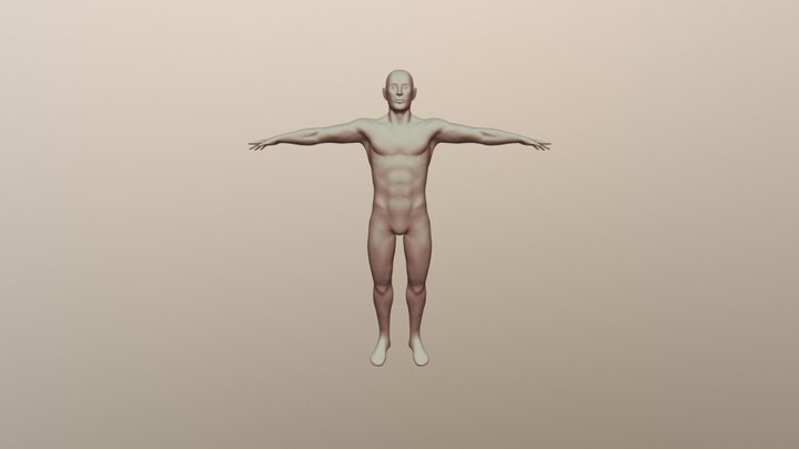Normal Size Man 3D Model