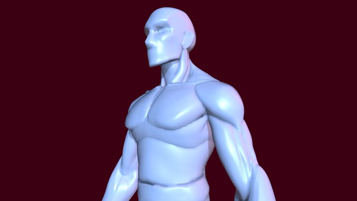 Torso Polygroups Study 3D Model