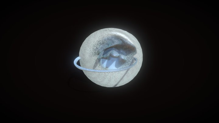 香炉1 3D Model