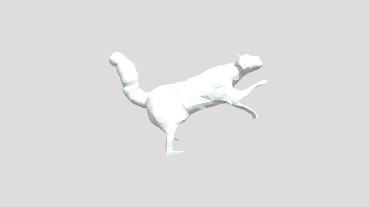 Racoon 3D Model