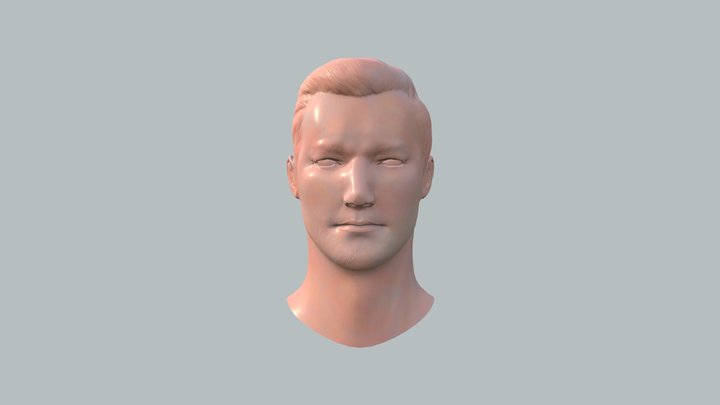Bust_wip 3D Model