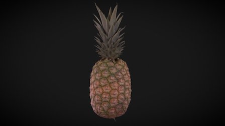 Pineapple Scan 3D Model