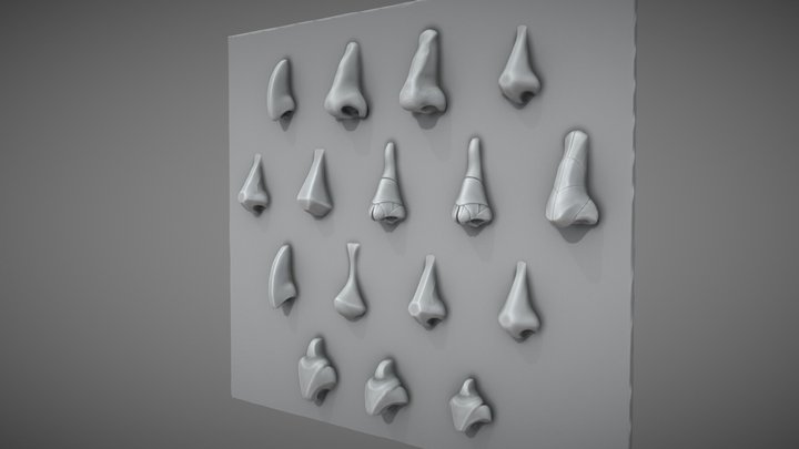 Noses Training 3D Model