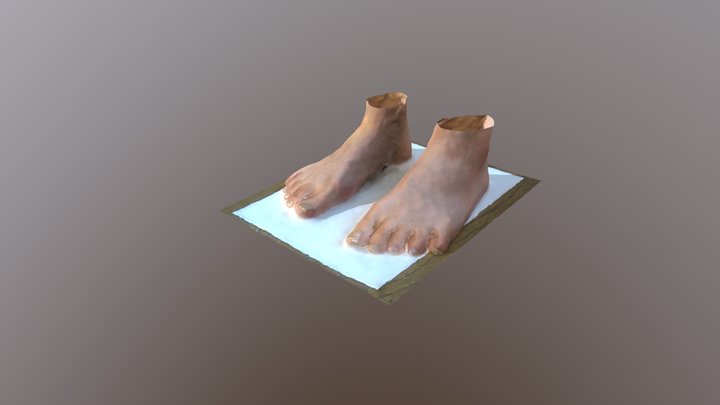 足部3Dデータ / foot 3D data 3D Model