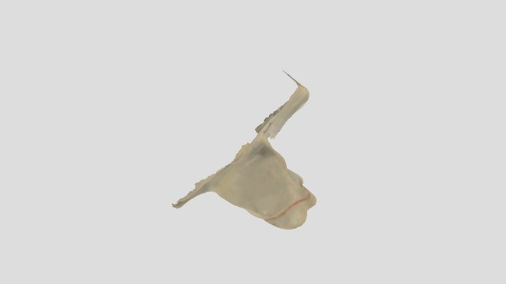 Macro DES Gmo 3D Model