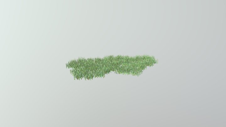 Grass 3D Model