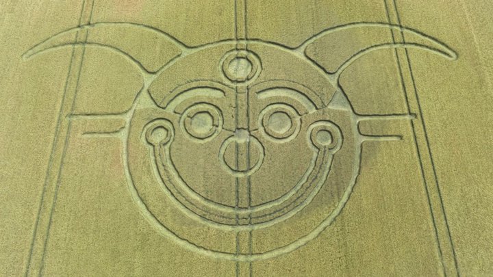 Crop circle Dorset 3D Model