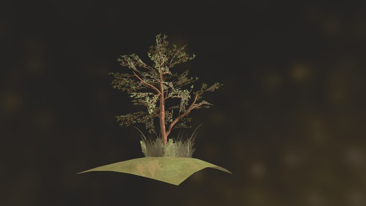 TREE 3D Model