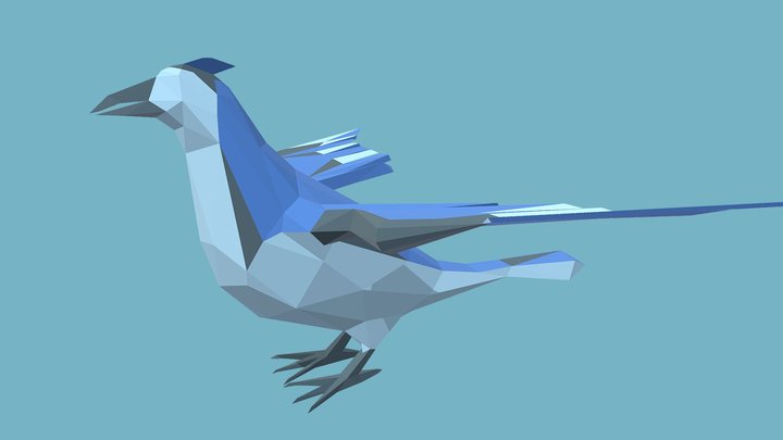 Jay Low-poly bird 3D Model
