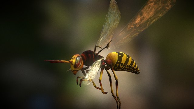 Bee bee gone играть. Bee go. Чокнутая пчела. Bee go. Bella шампунь.