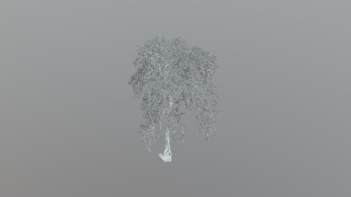 Segmented_tree 3D Model