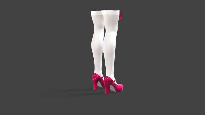 Chunky Heels Marry Jane Shoes Stockings 3D Model