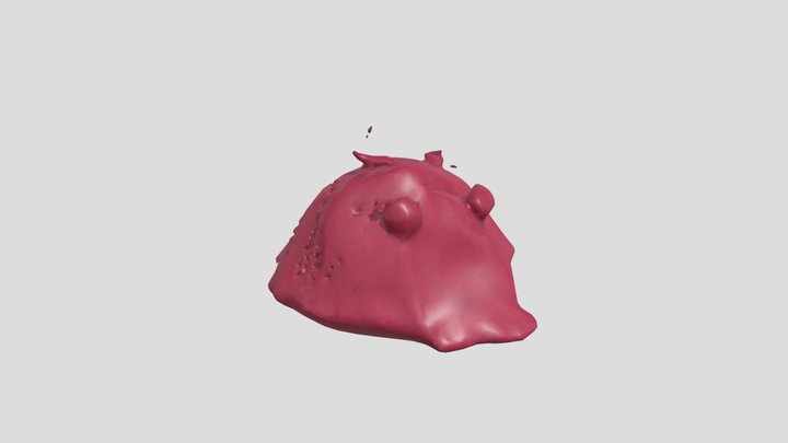 stefano by eva v – Free 3D Model STL