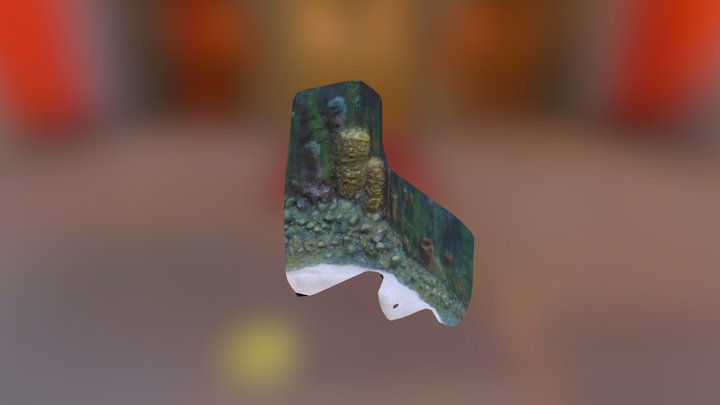 S1 3D Model