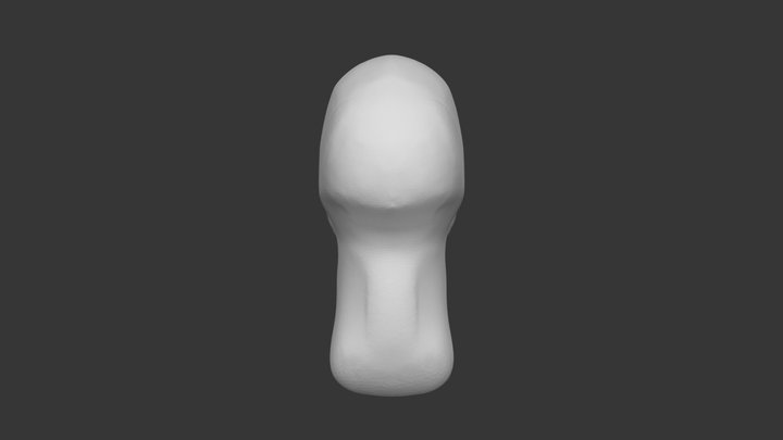 Asaro Head Test 3D Model