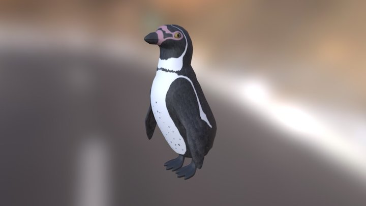 Humboldt Pinguïn 3D Model