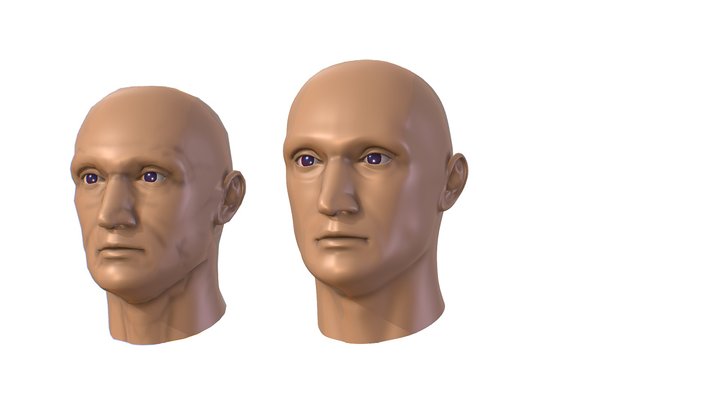 subdivision 3d model bald man's head 3D Model