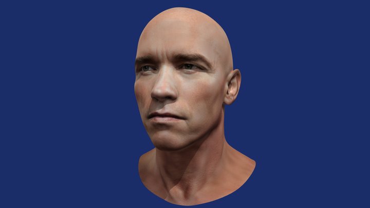 T-800 Head 3D Model 3D Model
