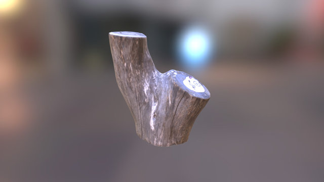 Tree Trunk- ReCap 3D Model