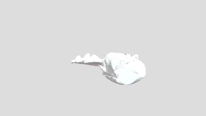 n.s.s 3D Model