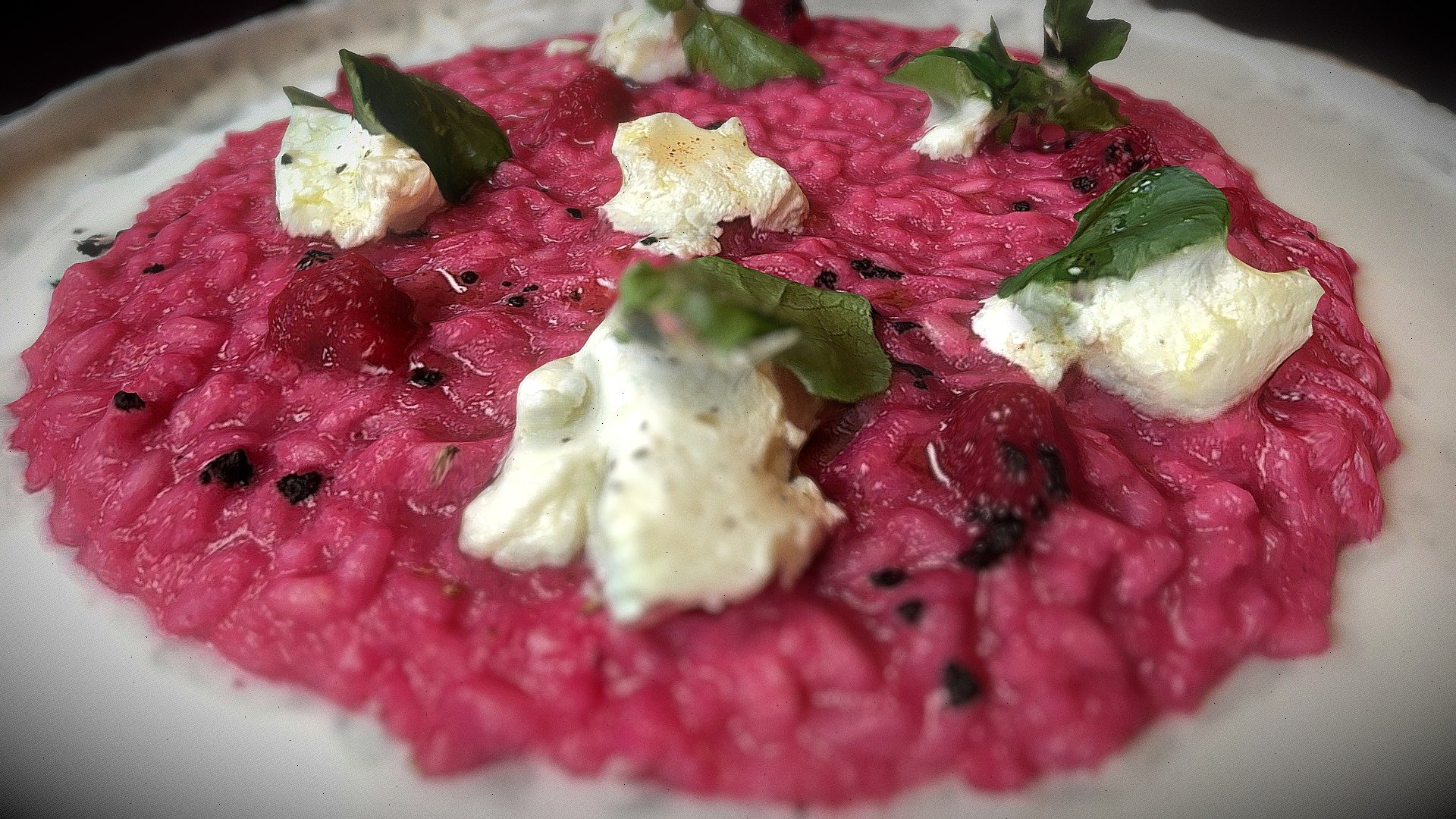 Risotto Rapa Rossa - Download Free 3D model by frankyfurtado [1c9e83e ...