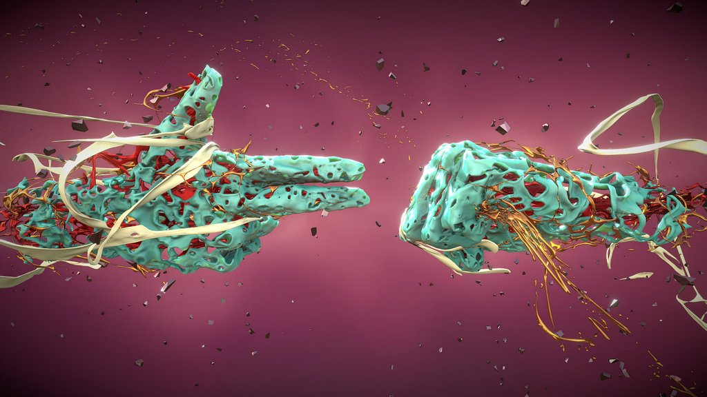 RTJ Before And Beyond