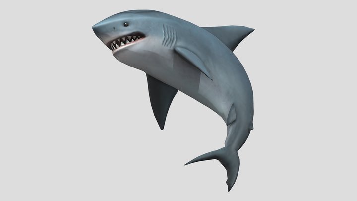 Shark