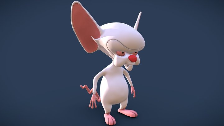 Cerebro 3D Model