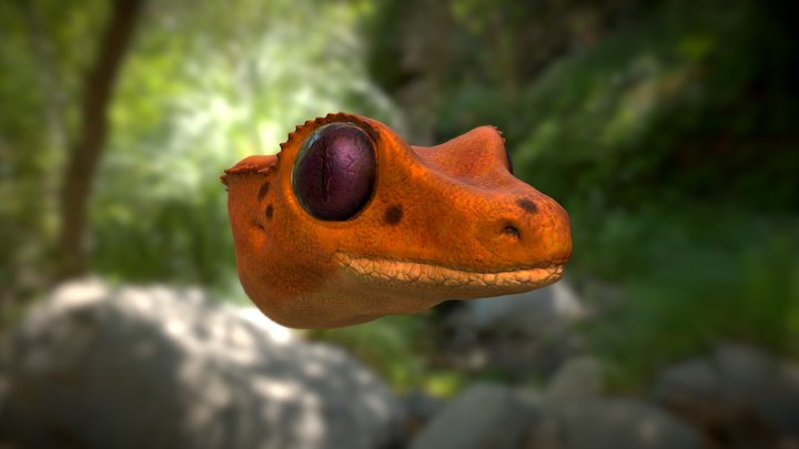 Gecko à crête 3D Model