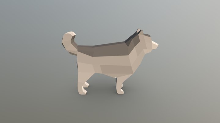 alaskan malamute!! 3D Model