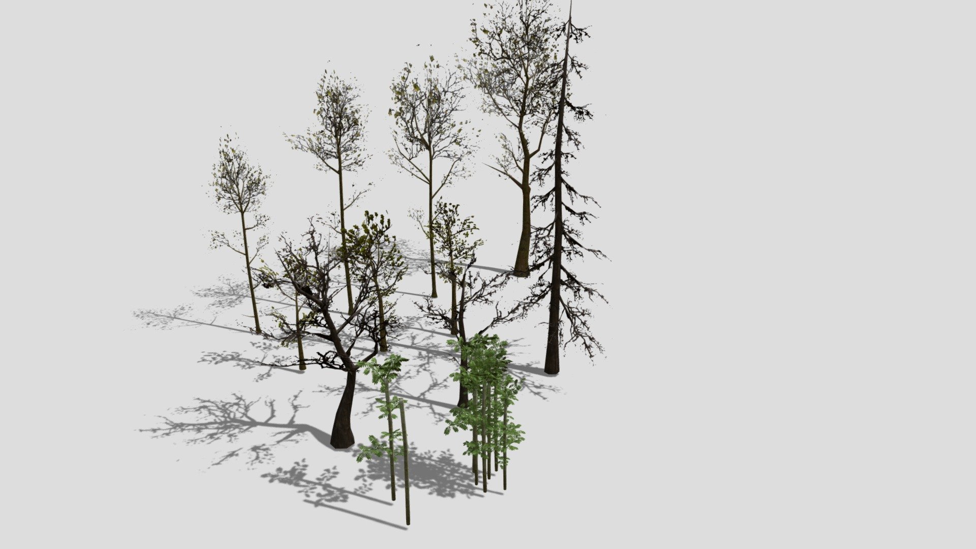 Arboles