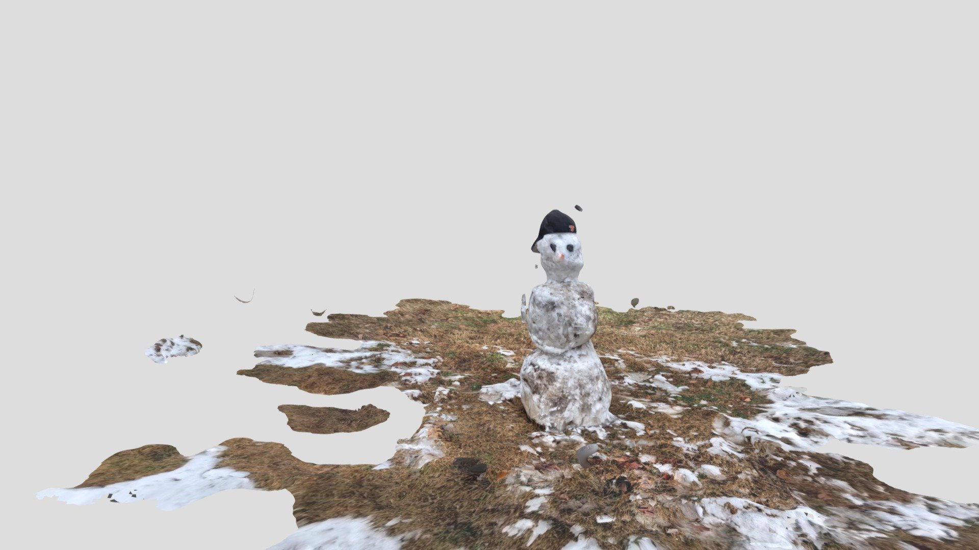 Texas Snowman 2021