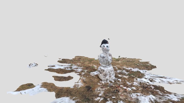 Texas Snowman 2021 3D Model
