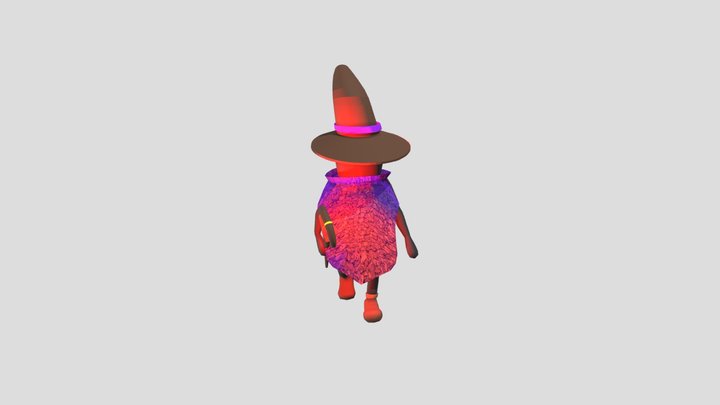 Mage With Tunic Alt Re Rig 3D Model