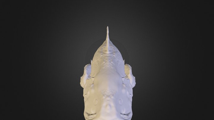 coalaphish 3D Model